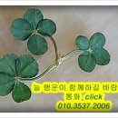 아담농장 이미지