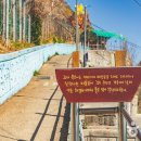 한국관광공사 추천 4월의 걷기여행길, 마음을 비우고 혼자 걷기 좋은 길 이미지