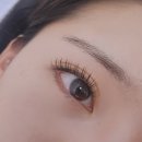 끌리제 속눈썹 이미지