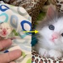 (주)엄지세상 이미지