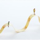 장현한의원 이미지