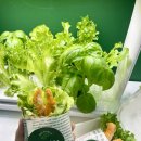 바른팜 | [광주 실내체험] 자람팜아카데미에서 즐기기!