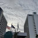괌모텔 | ღB25. 괌 태교여행 | 가성비 숙소 | 리프호텔(Reef Hotel) 비치타워 비치트윈룸 솔직 후기