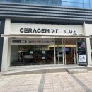 세라젬웰카페 성남판교점