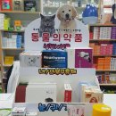 솔빈약국 네이버블로그
