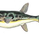 초원복집 이미지