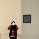 왈가왈부애견 이미지