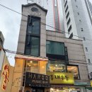 파스타러버 | [오밀홍대]홍대맛집 러버덕오므라이스 매콤명란파스타 내돈내산 솔직후기