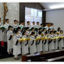 중계동성당 Daum카페