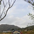 진도 금갑진성 이미지