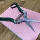 타임머신인터넷방 이미지