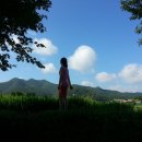 일곡중학교 이미지