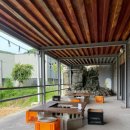 오리한마리 이미지