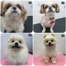 바른마음동물병원 이미지