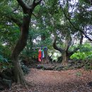 천미연대 이미지