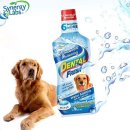 럭키덴탈 이미지