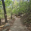 하나종합타운공업사 | 불암산 힐링타운 철쭉축제 먹거리 주차정보 애견 동반 주말에 다녀온 후기