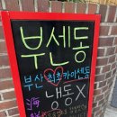 광안리 애견동반 가능 일식 맛집 부센동 내돈내산 후기(메뉴, 주차, 웨이팅)