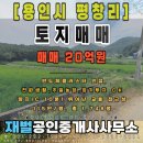 양지농장 | 📌 용인 양지 평창리 토지 매매 20억 – 반도체 클러스터 수혜 기대 투자처