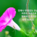화요일 - 안양시 동안구 동편로27번길 26-12 | 화요일