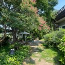 솔향기가득한집 이미지