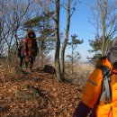 장산시장 이미지