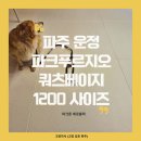 운정파크푸르지오 경로당 | 강아지도 미끄럼 없이 안전하게 파주운정 파크푸르지오 아파트 층간소음매트 시공 후기 (1200 쿼츠베이지)