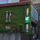 노말살롱 네이버블로그