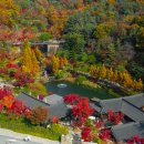 안성목장 2농장 이미지