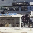 펫더헤븐 이미지