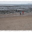 시리미로 | 제부도 + 강화도 2일 나들이 후기 –시리미자연놀이체험장·동막해수욕장·맛집 총정리