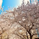 남천1-210 이미지