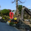 아름다운관광농원화수목 이미지