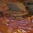 청평민물매운탕 이미지