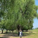 숲속에서 캠핑장 이미지