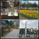 태평어린이공원 | 대전 유성구 여행: 버스 타고 가볼만한곳 국립중앙과학관 유성온천 족욕체험장 코스