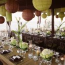 그린브라운 이미지