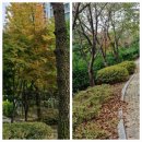 홈플러스익스프레스수원 이미지