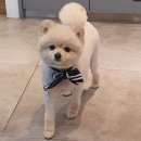 은마로동물병원 이미지