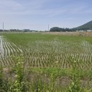 탑골농장 2농장 이미지