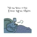 공감 Daum카페