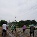 대포마을회관 이미지