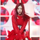 꿈둥이 이미지