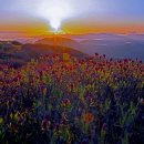 황매산 철쭉제 이미지