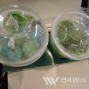 연세속시원의원 이미지