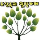 어반포레스트 이미지