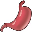 기능성 위장관 질환의 식이관리 네이버블로그