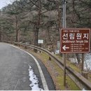 양양 선림원지홍각선사탑비 | 강원 양양 선림원지(禪林院址) 삼층석탑