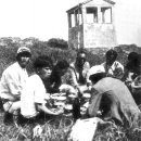 진도초등학교 Daum카페