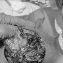 금샘동물병원 이미지